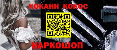 гашик Моздок