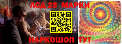 гашик Моздок