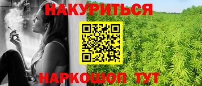 гашик Моздок