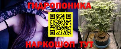 гашик Моздок