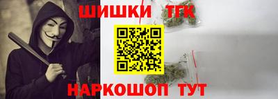 гашик Моздок