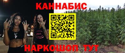 гашик Моздок