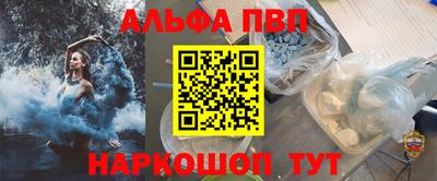 гашик Моздок