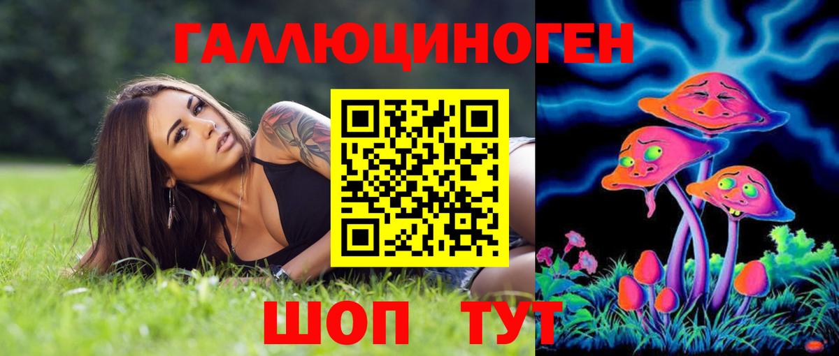 где найти   Псилоцибиновые грибы Cubensis  Вход с VPN  Галлюциногенные грибы ЛСД  Улан-Удэ 